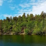 Parc national de Tyresta : Randonnée organisée et camping dans la nature