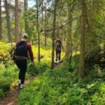 Hikers walking along a lush forest trail in Nacka Nature Reserve on a sunny summer day – an easy nature escape just outside Stockholm.