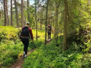 Wanderer, die an einem sonnigen Sommertag einen üppigen Waldweg im Nacka-Naturreservat entlanglaufen - ein einfacher Naturausflug vor den Toren Stockholms.