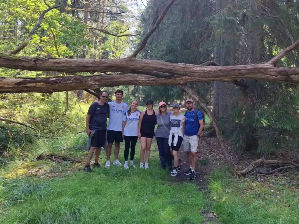 Un groupe de randonneurs heureux lors de notre randonnée dans la réserve naturelle de Nacka, près de Stockholm, faisant une pause sous un arbre tombé le long du sentier forestier pittoresque.