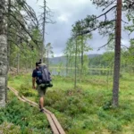 Wanderer bei einer geführten Wanderung im Skuleskogen-Nationalpark