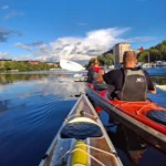 Kayakistas remando en aguas tranquilas de la ciudad