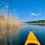 Glide through quiet channels and tall reeds while discovering the wild and peaceful side of the archipelago.
