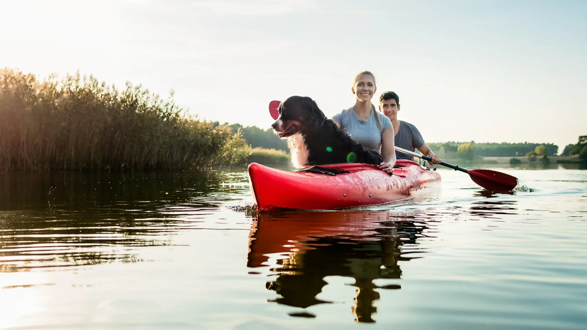 Una pareja sentada en su kayak de mar con perro, durante una excursión de un día en Estocolmo