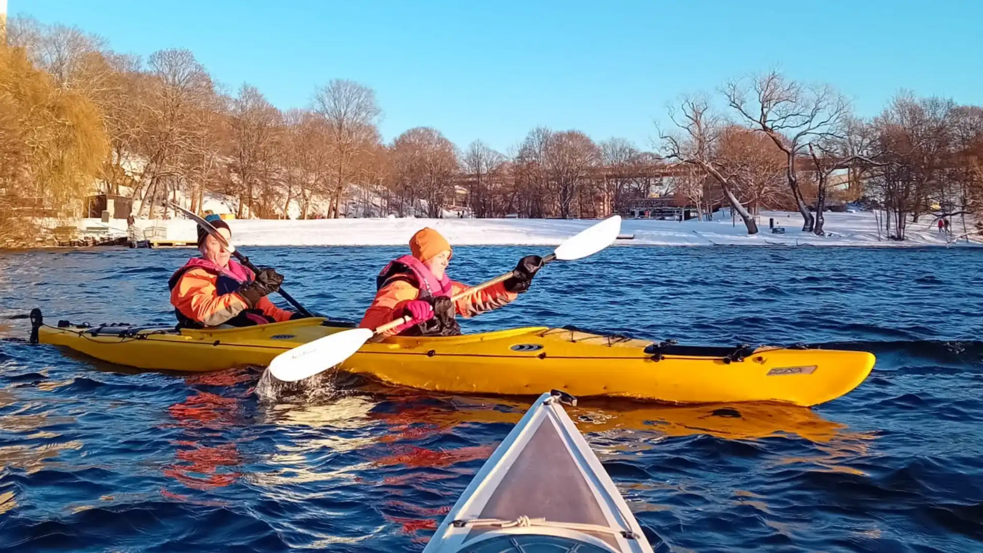 Excursión invernal en kayak por la ciudad de Estocolmo (kayak biplaza)