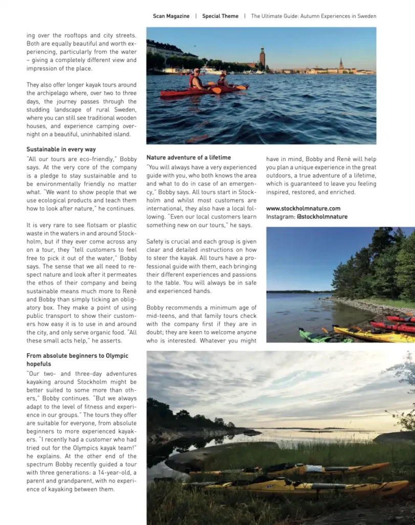 ScanMagazin article page2